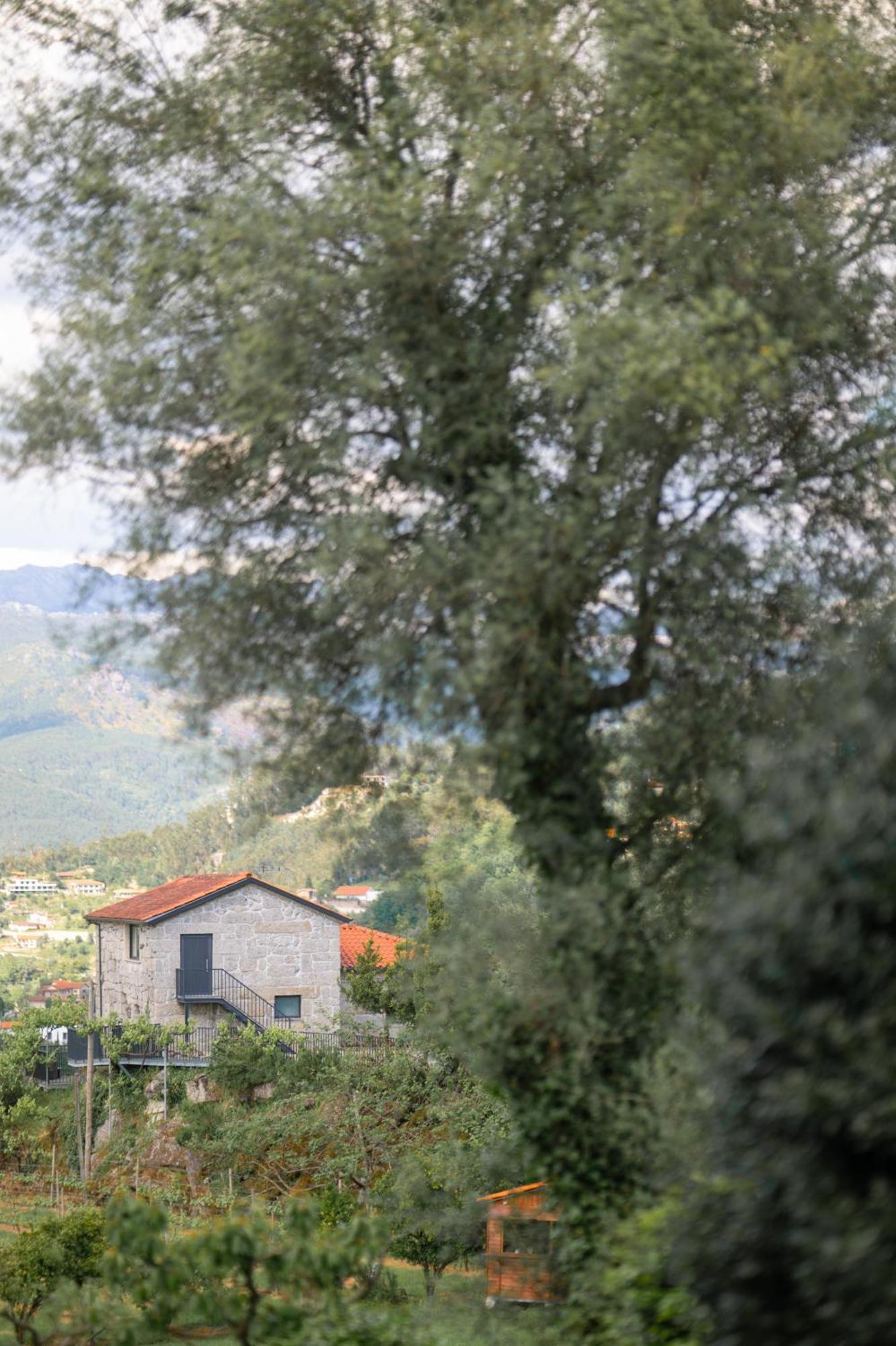 Quinta De Calvelos Vieira do Minho Exteriör bild