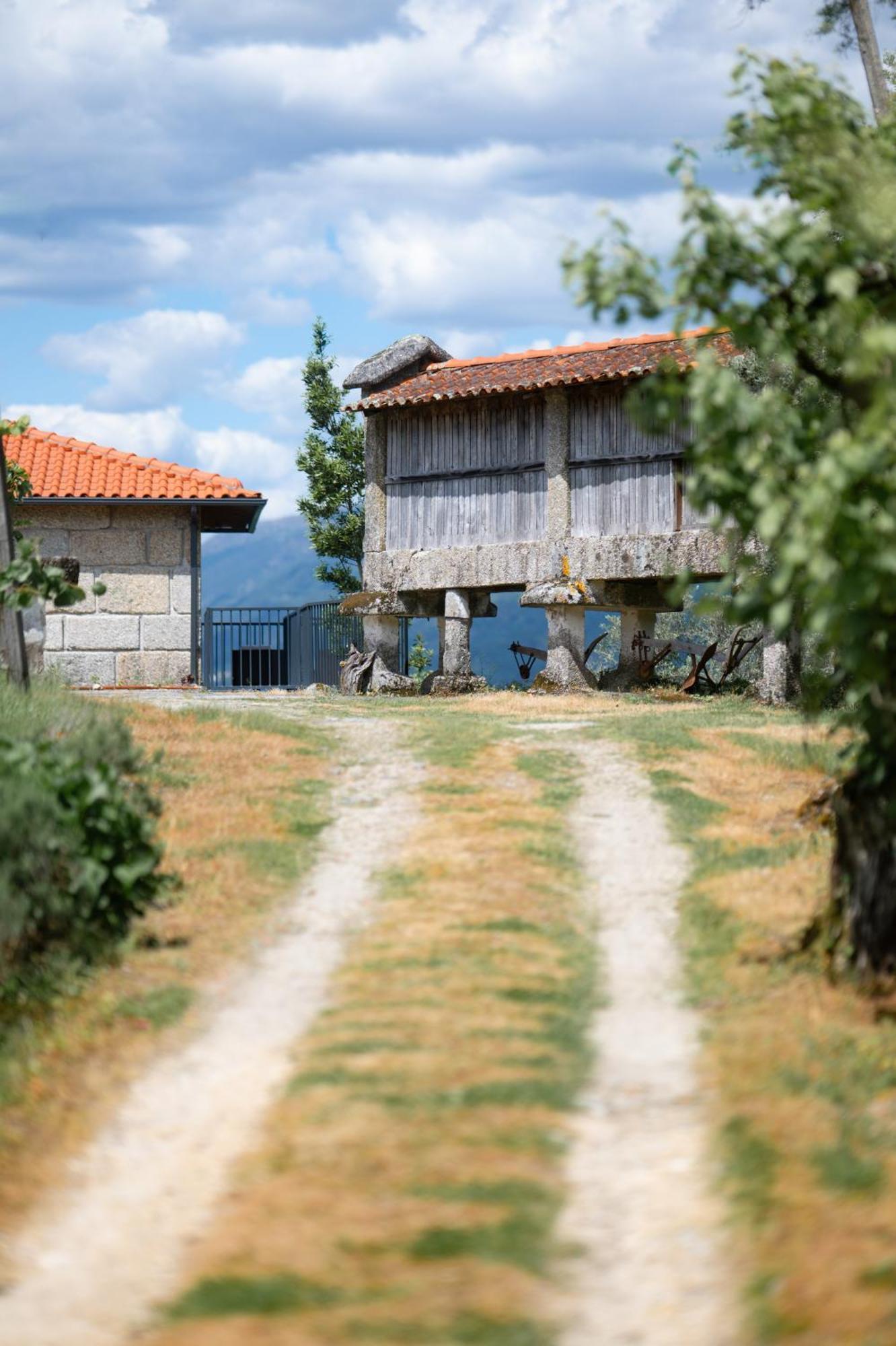 Quinta De Calvelos Vieira do Minho Exteriör bild